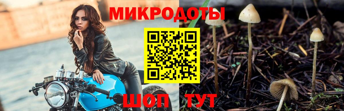 Галлюциногенные грибы мухоморы Гуково
