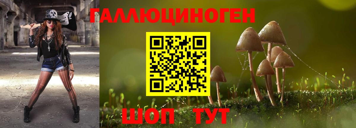 Гуково  Галлюциногенные грибы Cubensis  Вход с VPN 