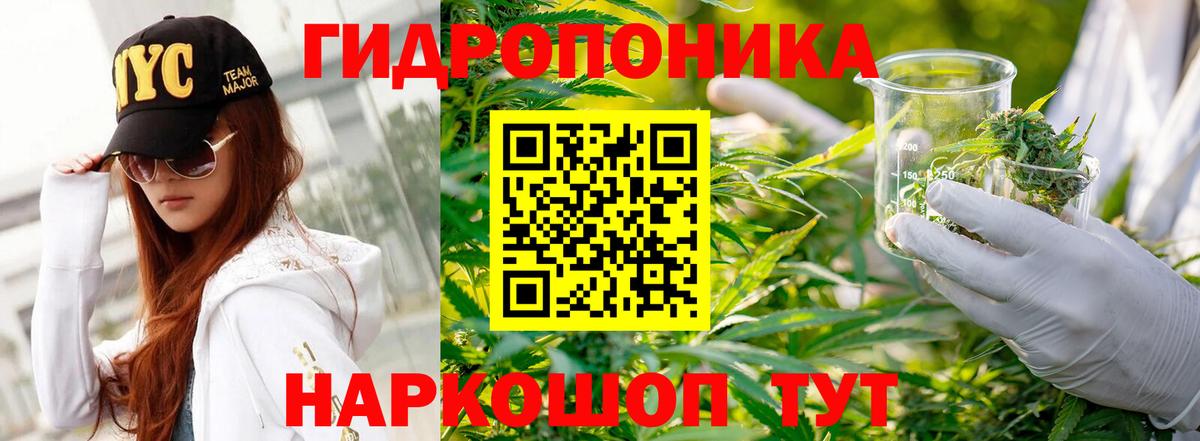 Марихуана OG Kush Гуково